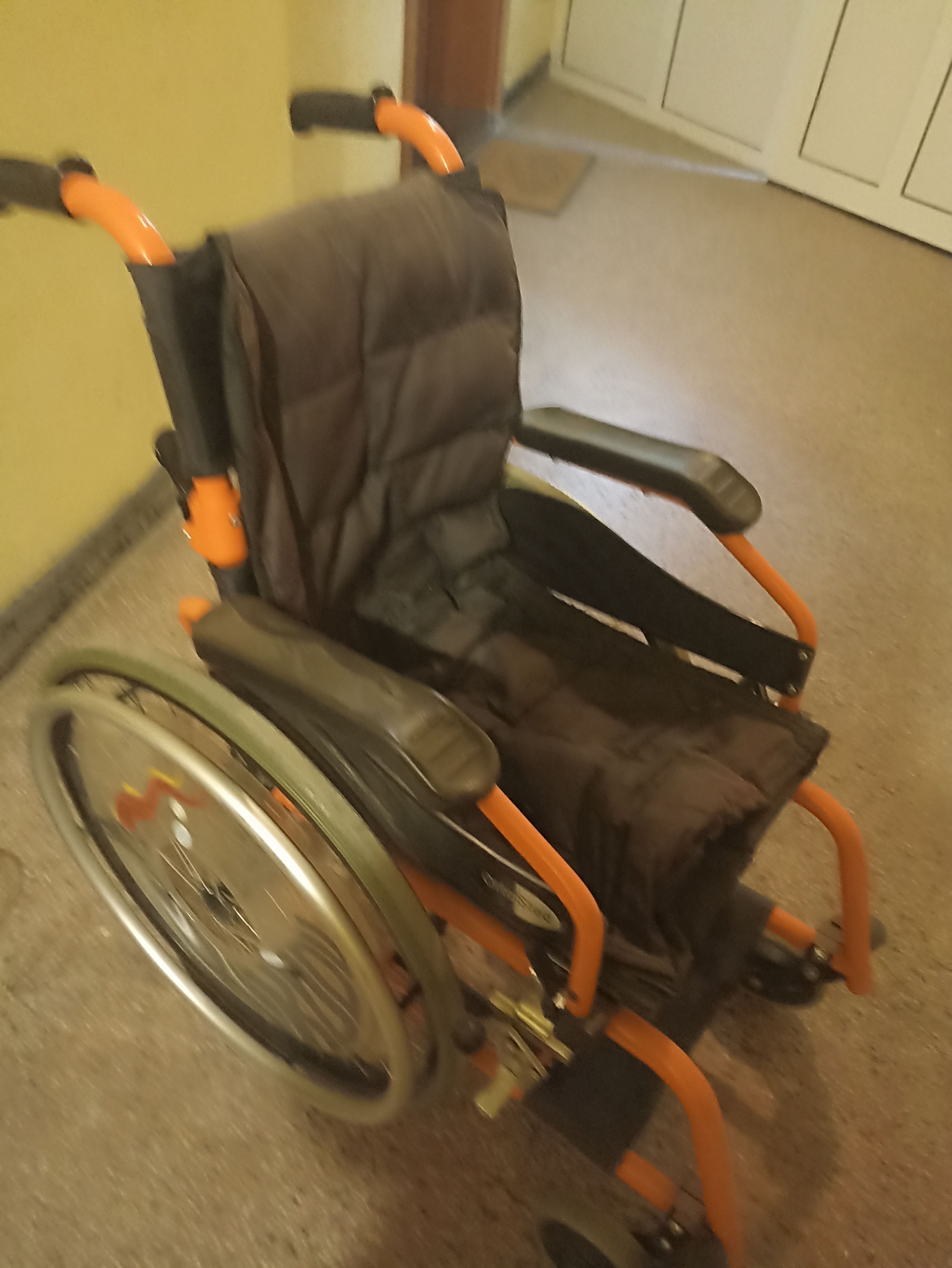 inbound3450447089023025255